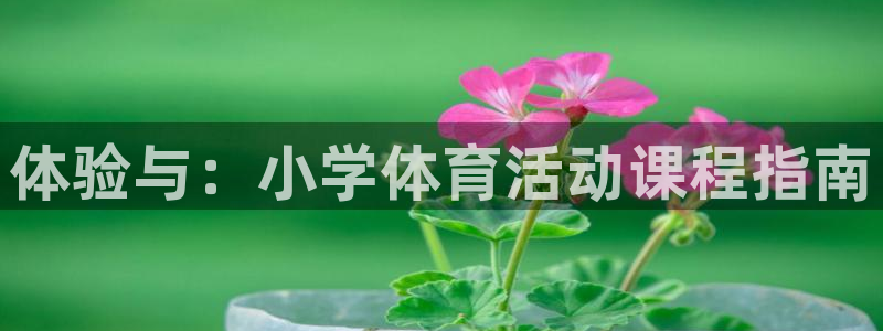 熊猫体育网站：体验与：小学体育活动课程指南