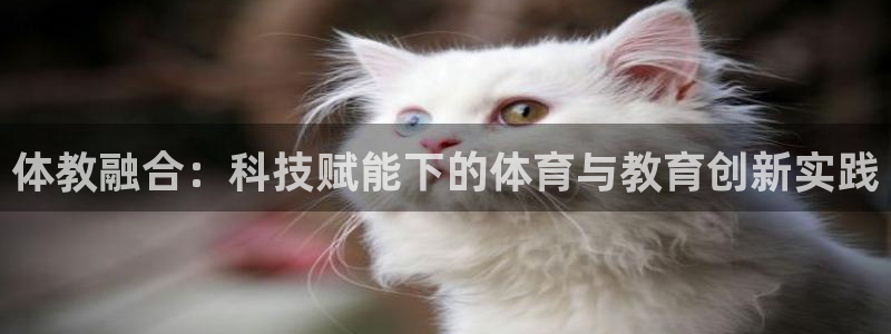下载熊猫体育