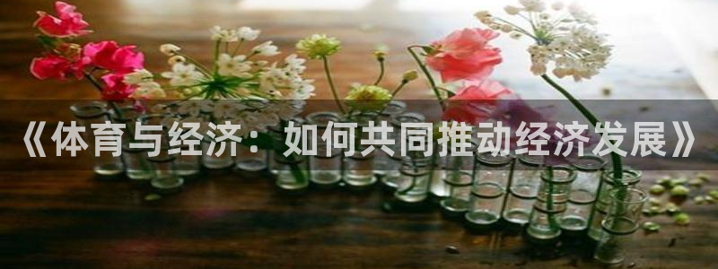熊猫体育在线：《体育与经济：如何共同推动经济发展》