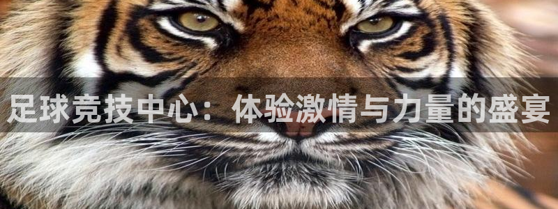 熊猫体育在线