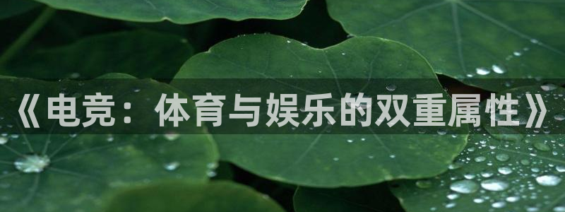 熊猫体育app官方下载最新版