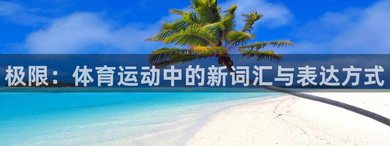 熊猫体育比赛直播