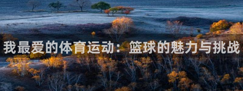 中山熊猫体育：我最爱的体育运动：篮球的魅力与挑战